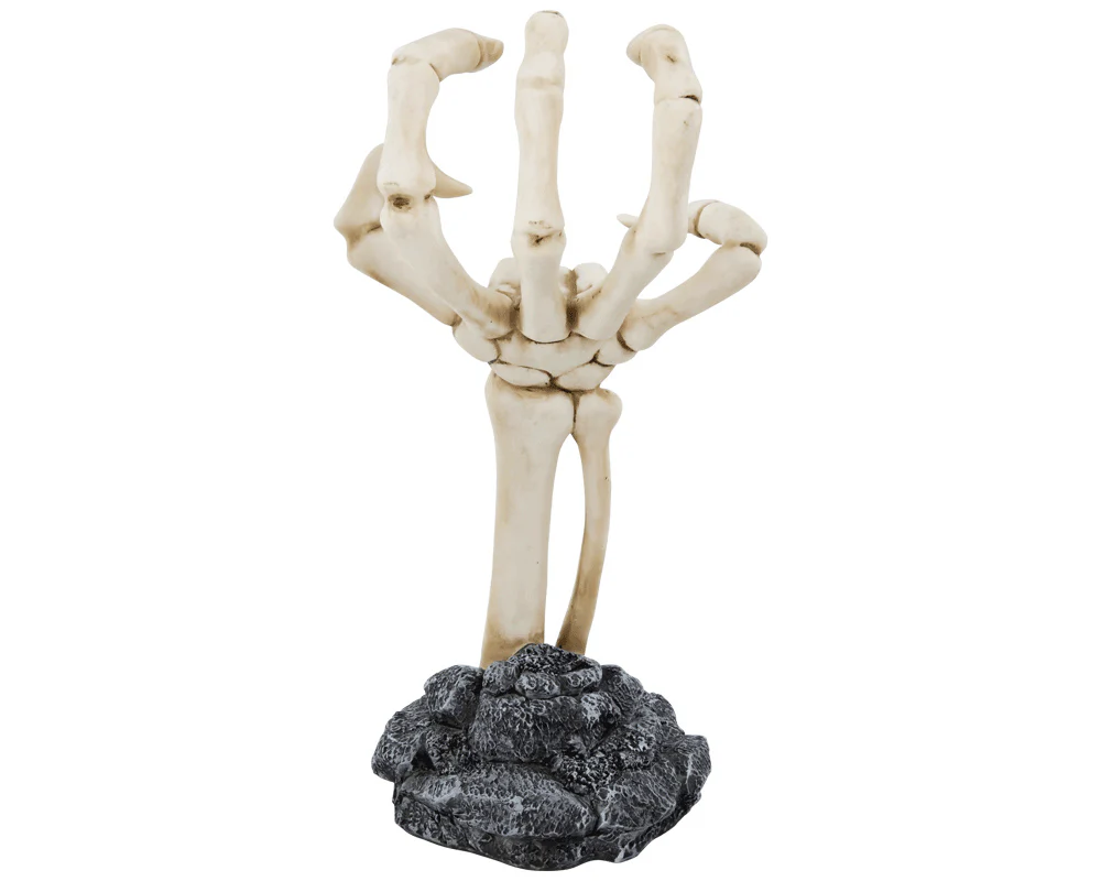 Skeleton Hand Display - Image 3